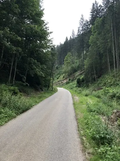 Rustige bosweg in de Harz voor gravel- en racefietsers