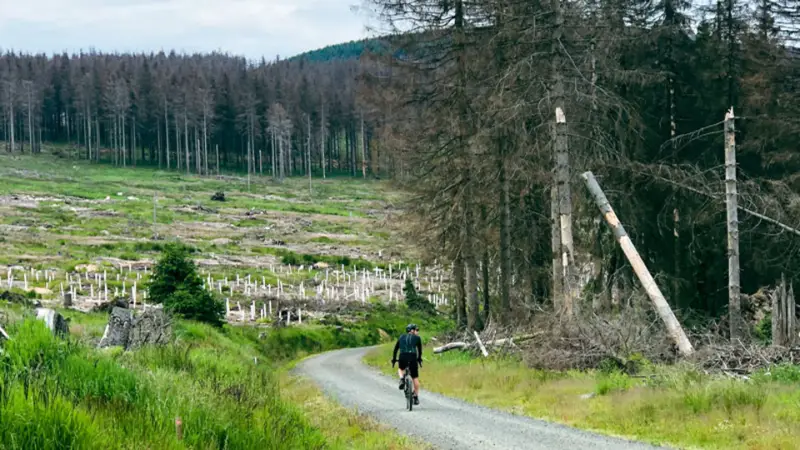 Fietser op een rustige gravelweg door de bossen van de Harz