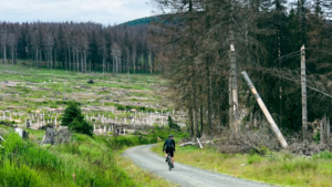 Fietsen Harz Gravel Race