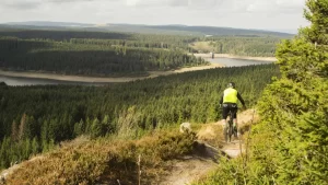Gravelrijder daalt af over een bospad in de Harz met uitzicht op bossen en een stuwmeer