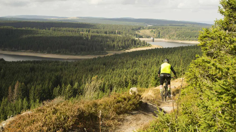 Gravelrijder op een pad door de Harz